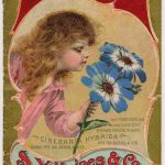 Poster Reproduction